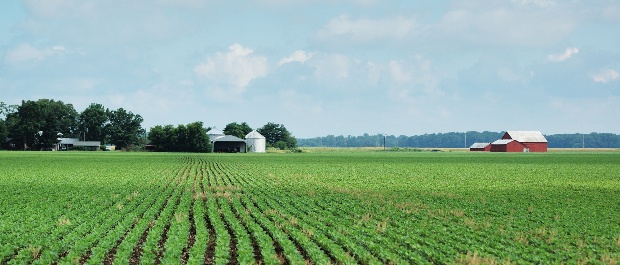 St. Henry Bank Family owned and operated in your community for over