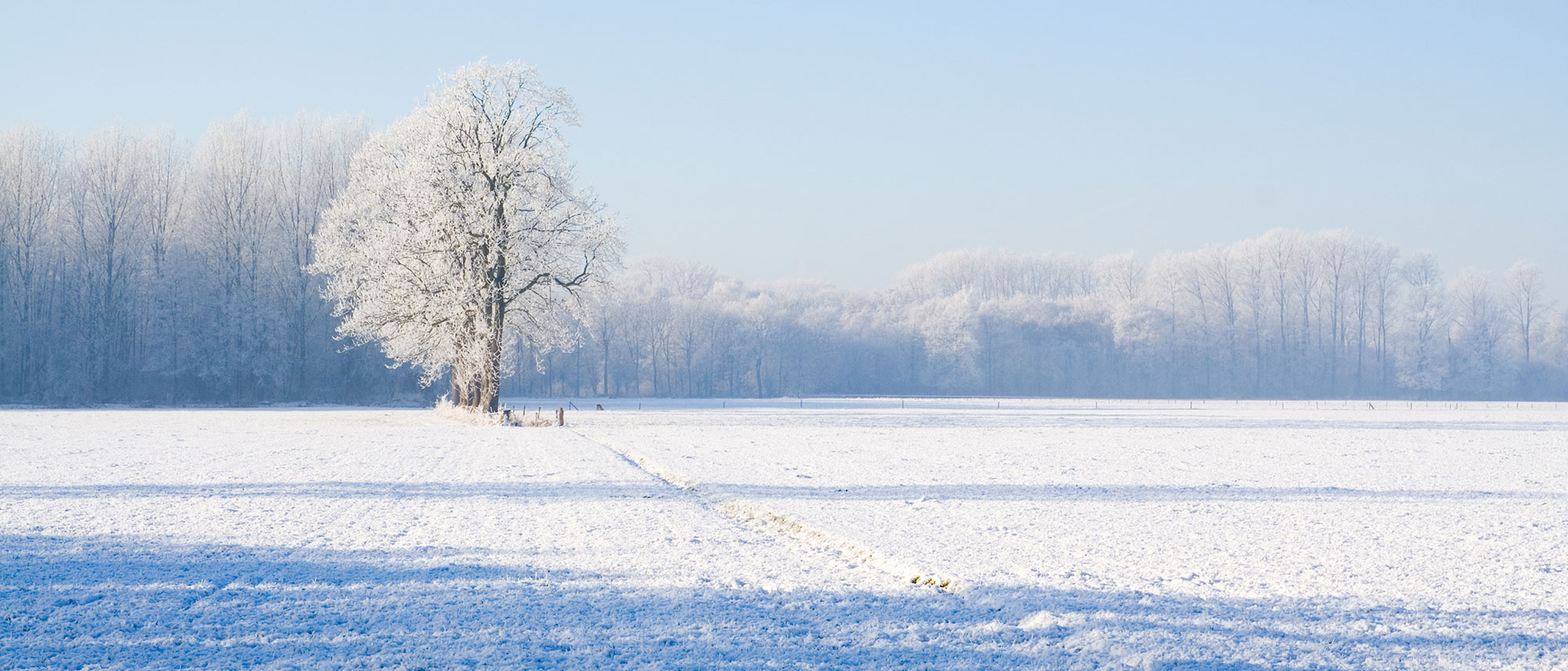 St. Henry Bank Family owned and operated in your community for over