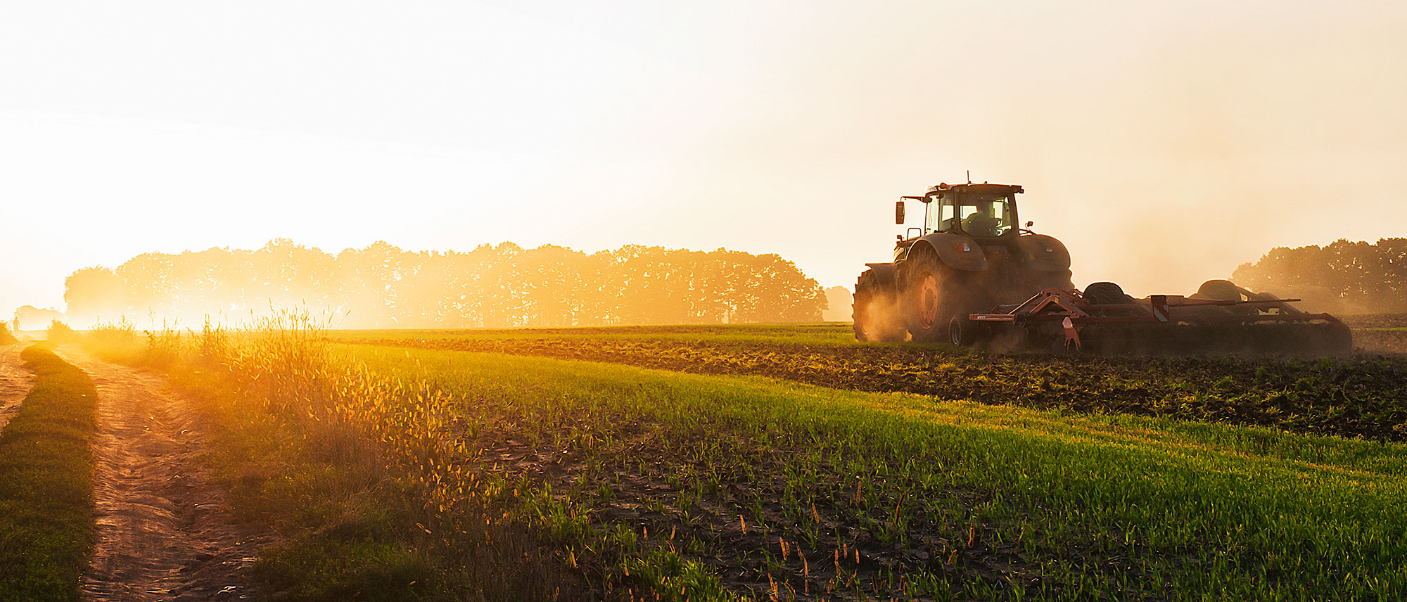 St. Henry Bank Family owned and operated in your community for over